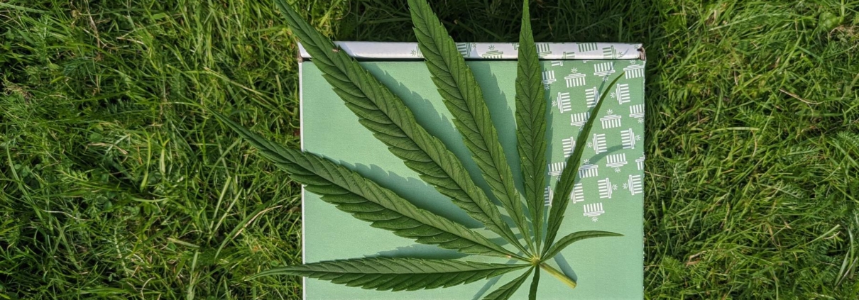 Hvad hjælper CBD olie på?
