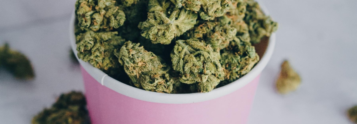 Hvordan bruger man cannabisolie?