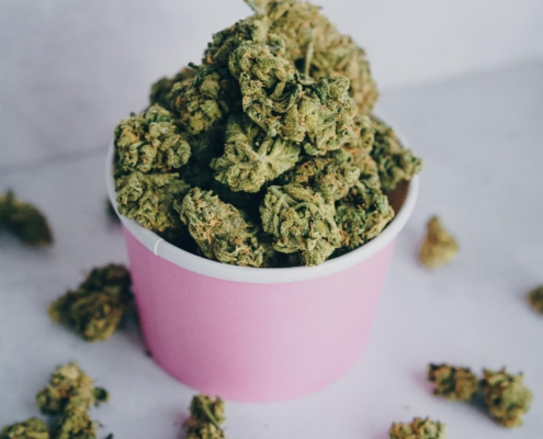 Hvordan bruger man cannabisolie?