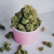 Hvordan bruger man cannabisolie?