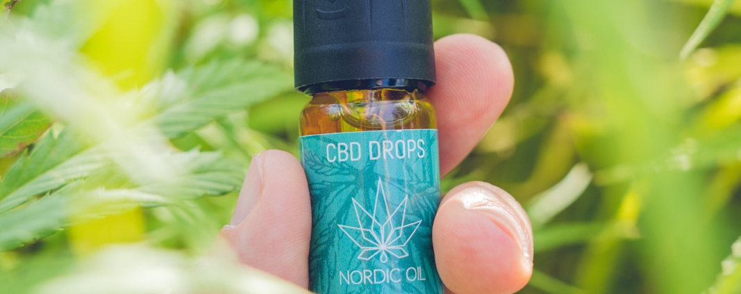 Hvordan laves CBD olie?